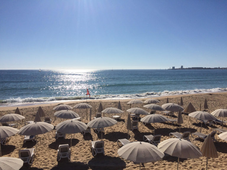 L&rsquo;image et le son