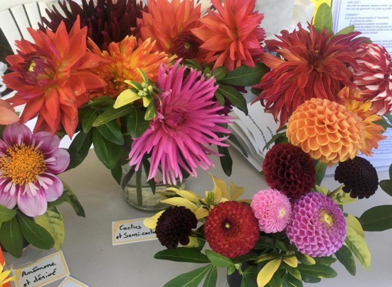 Le pouvoir des fleurs