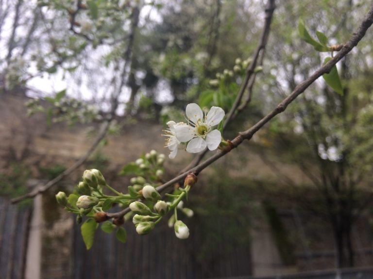 Nettoyage de printemps