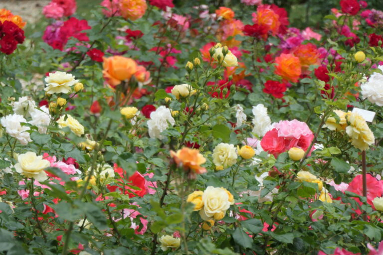 Un retraité pas comme les autres