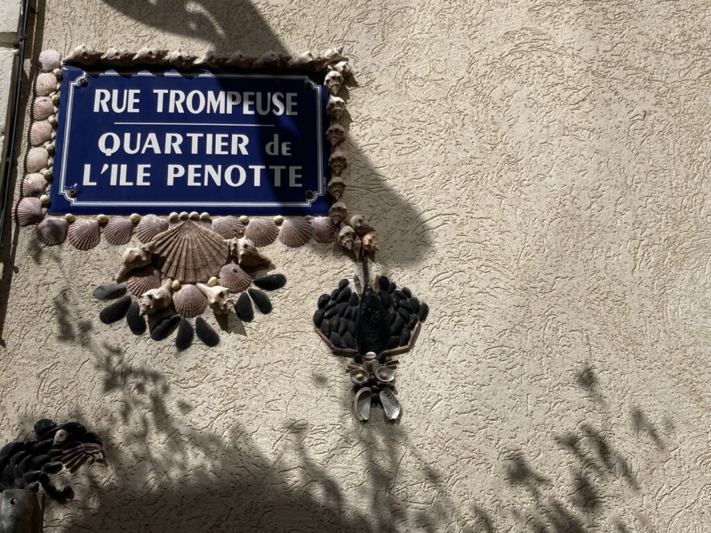 Ile Penotte - chauve souris